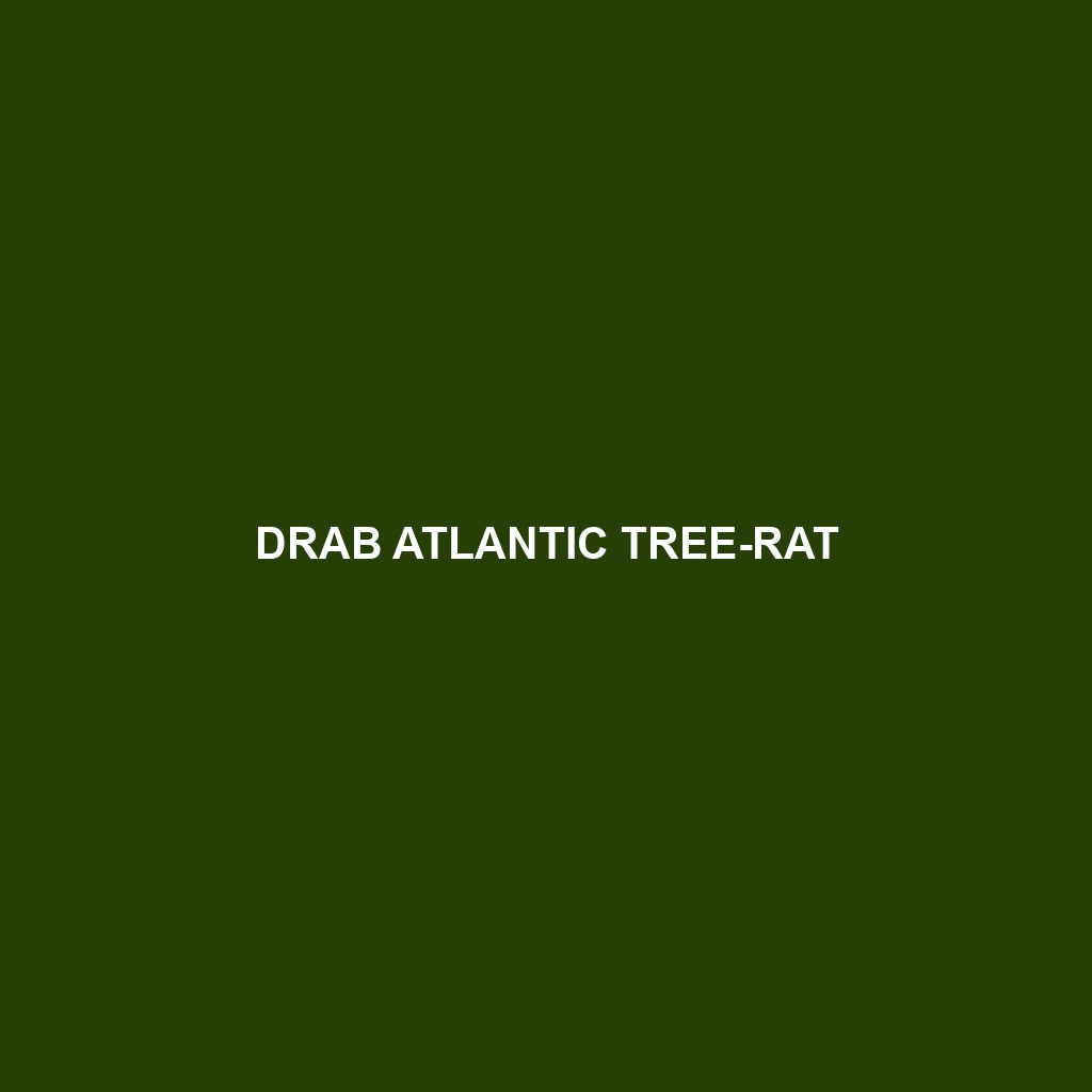 Drab Atlantic Tree-rat