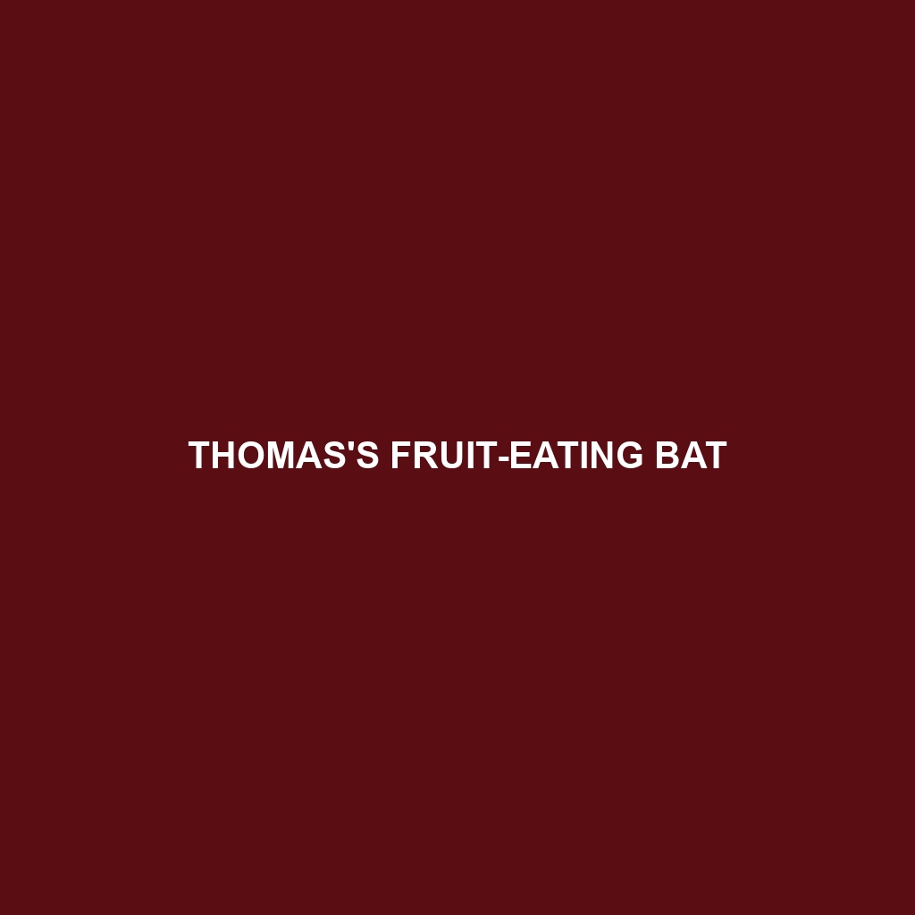 Thomas's Fruit-eating Bat