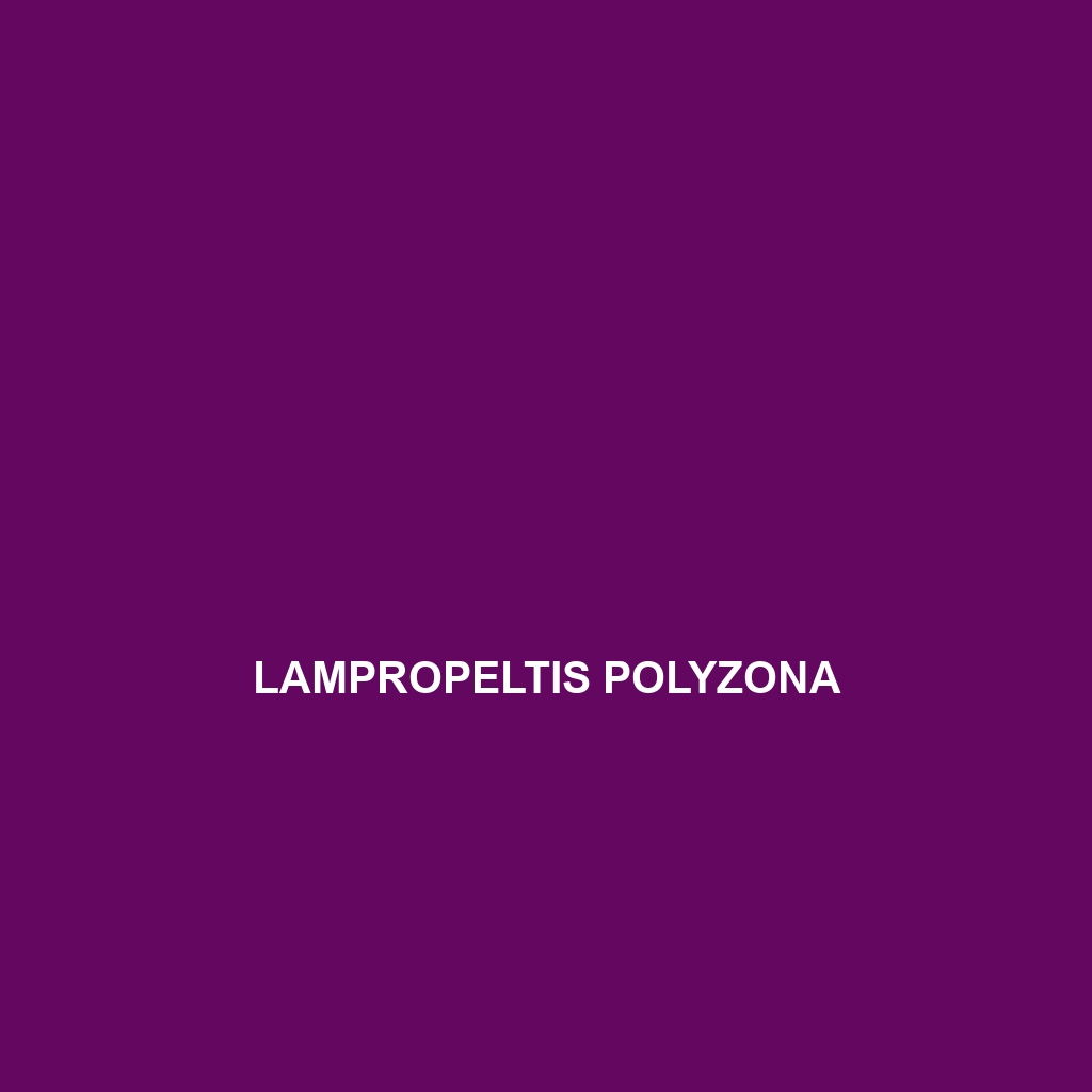 Lampropeltis polyzona