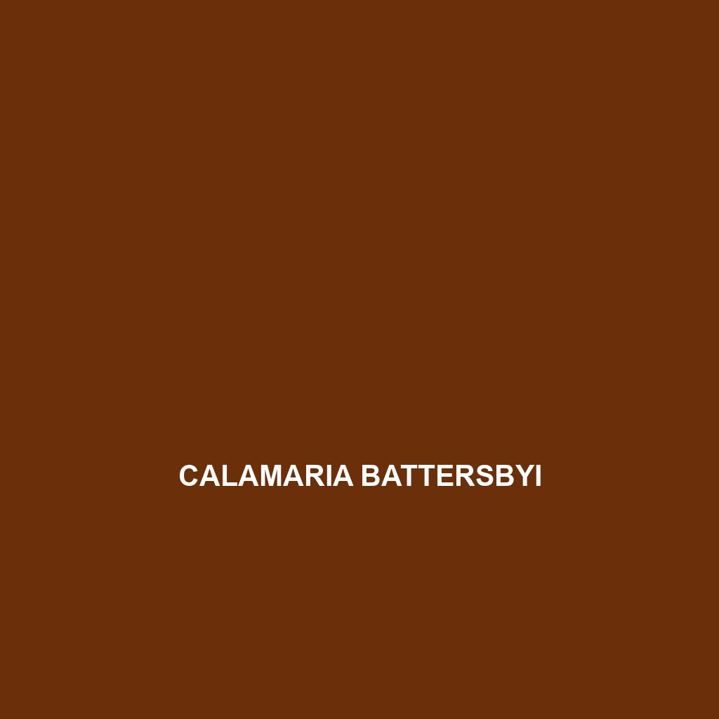 Calamaria battersbyi