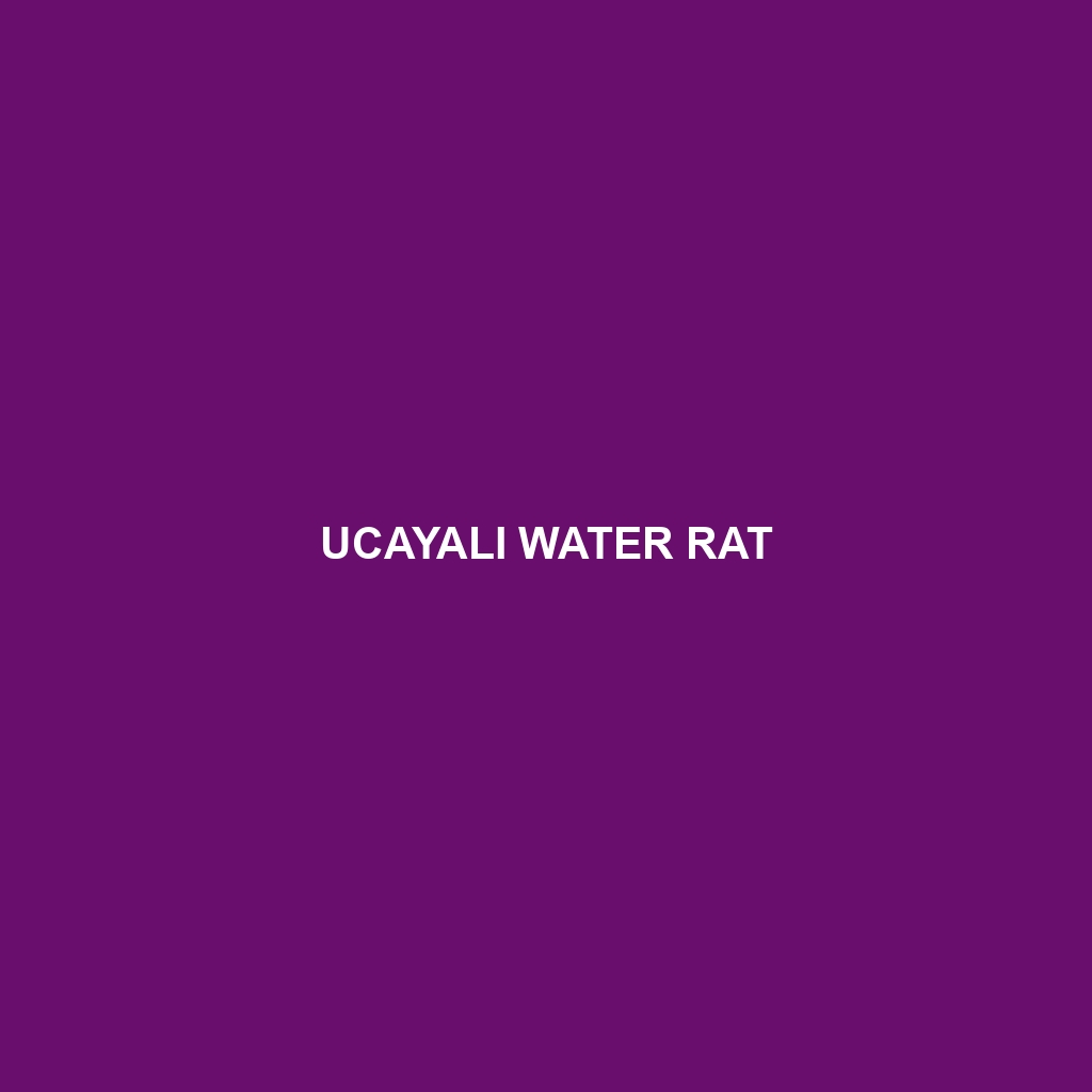 Ucayali Water Rat