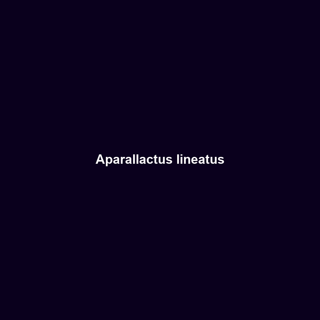 Aparallactus lineatus