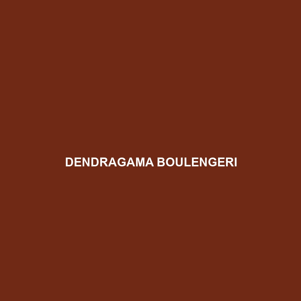 Dendragama boulengeri