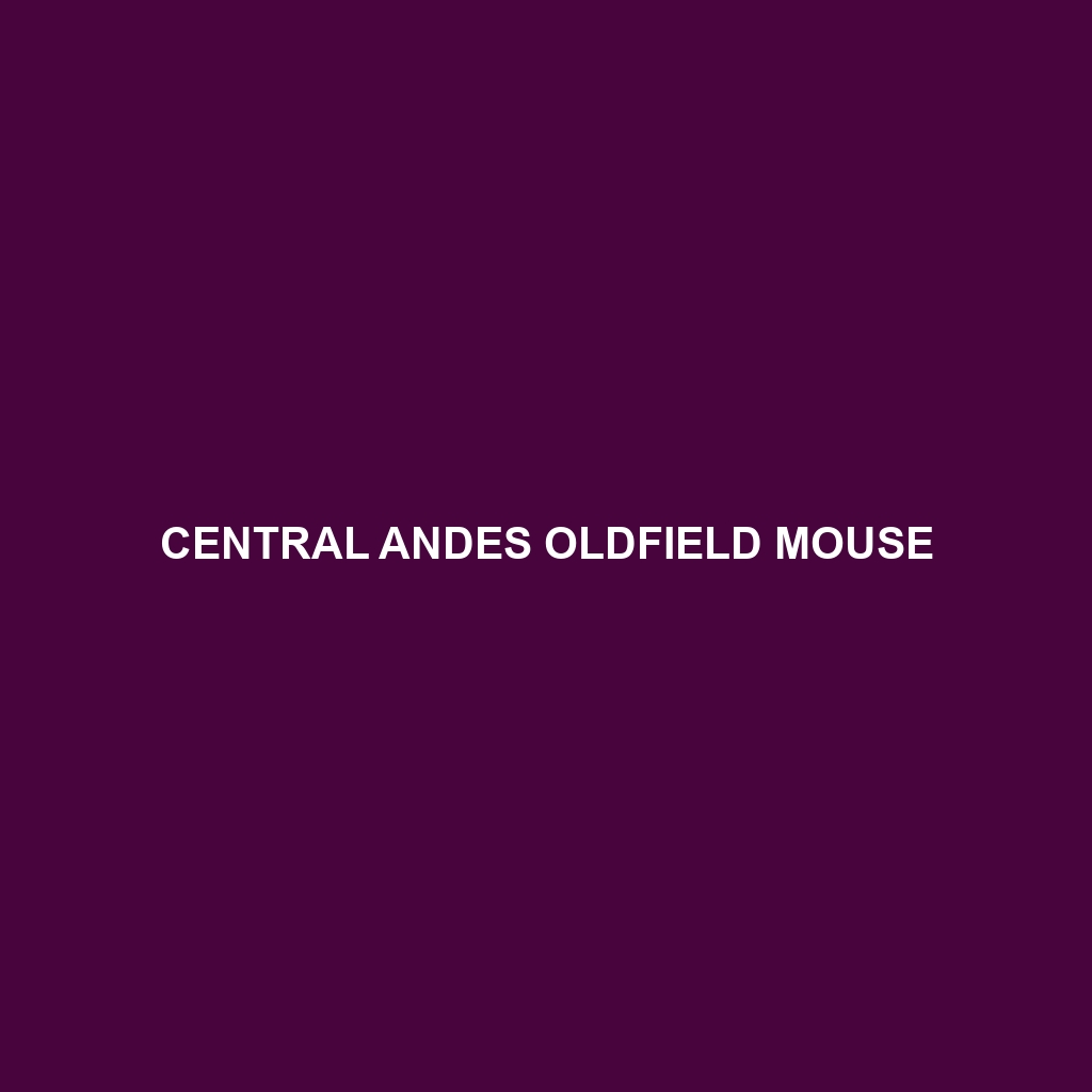 Central Andes Oldfield Mouse