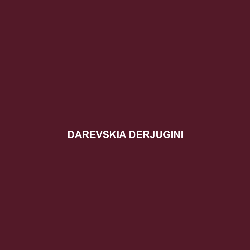 Darevskia derjugini