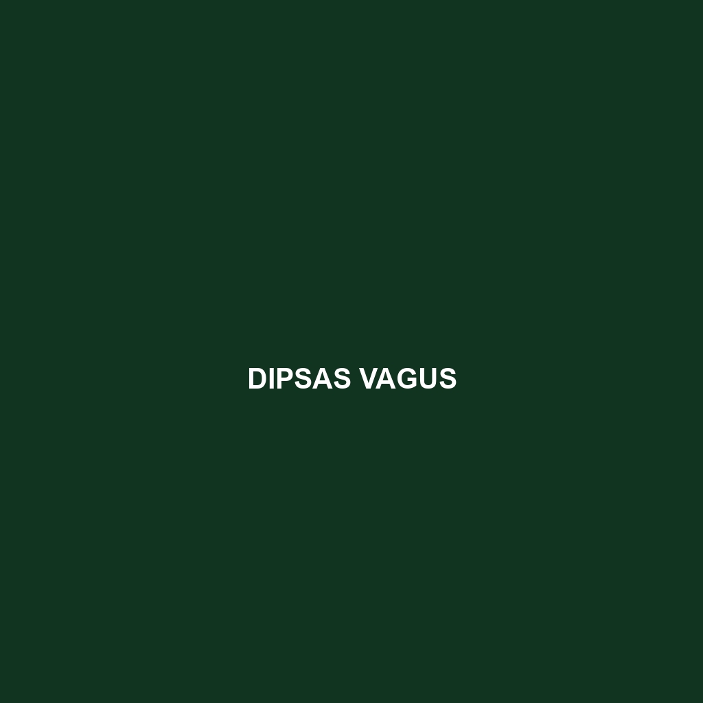 Dipsas vagus