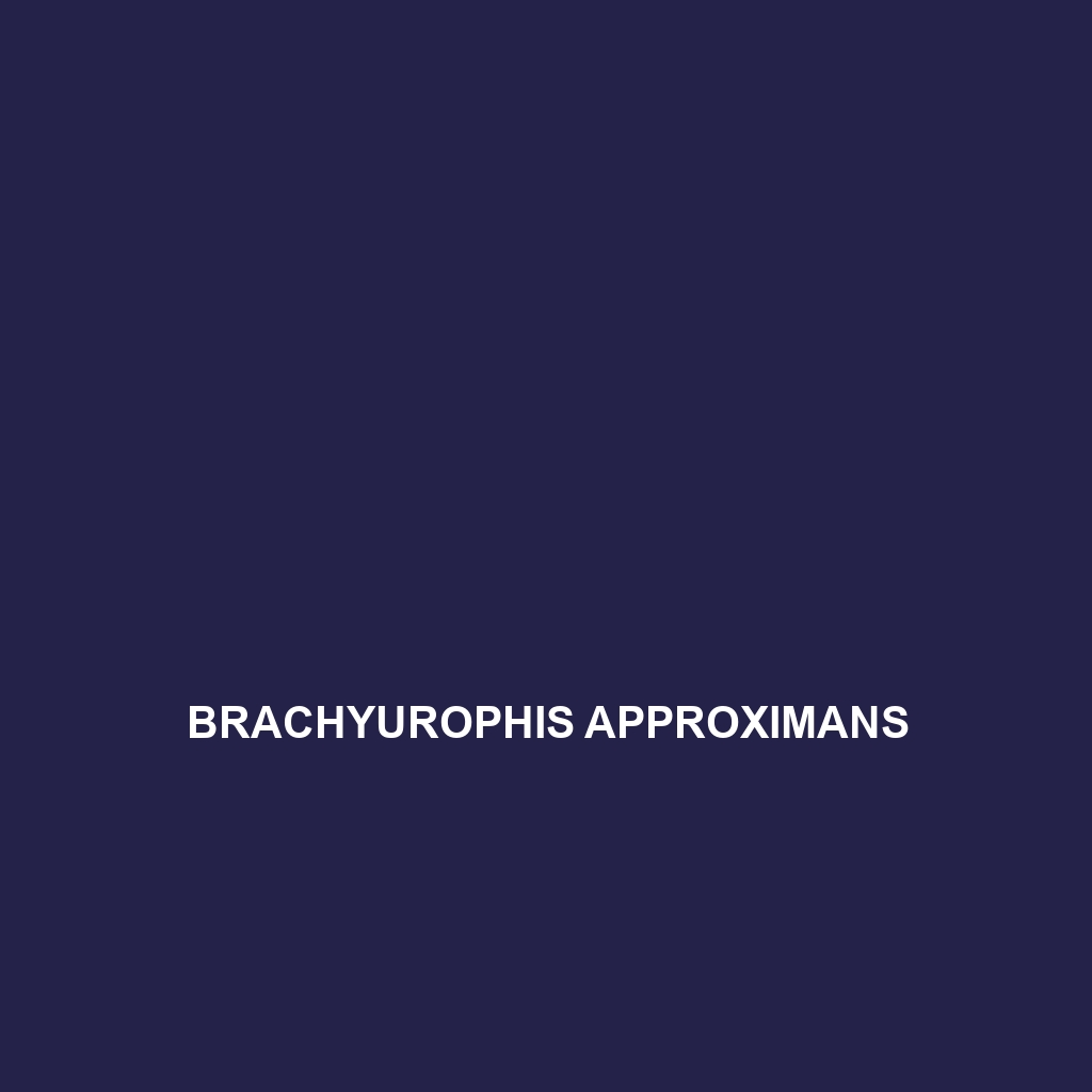 Brachyurophis approximans