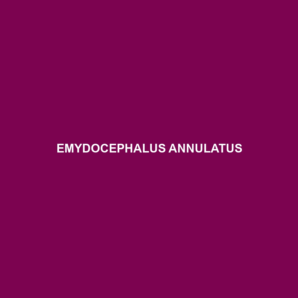 Emydocephalus annulatus