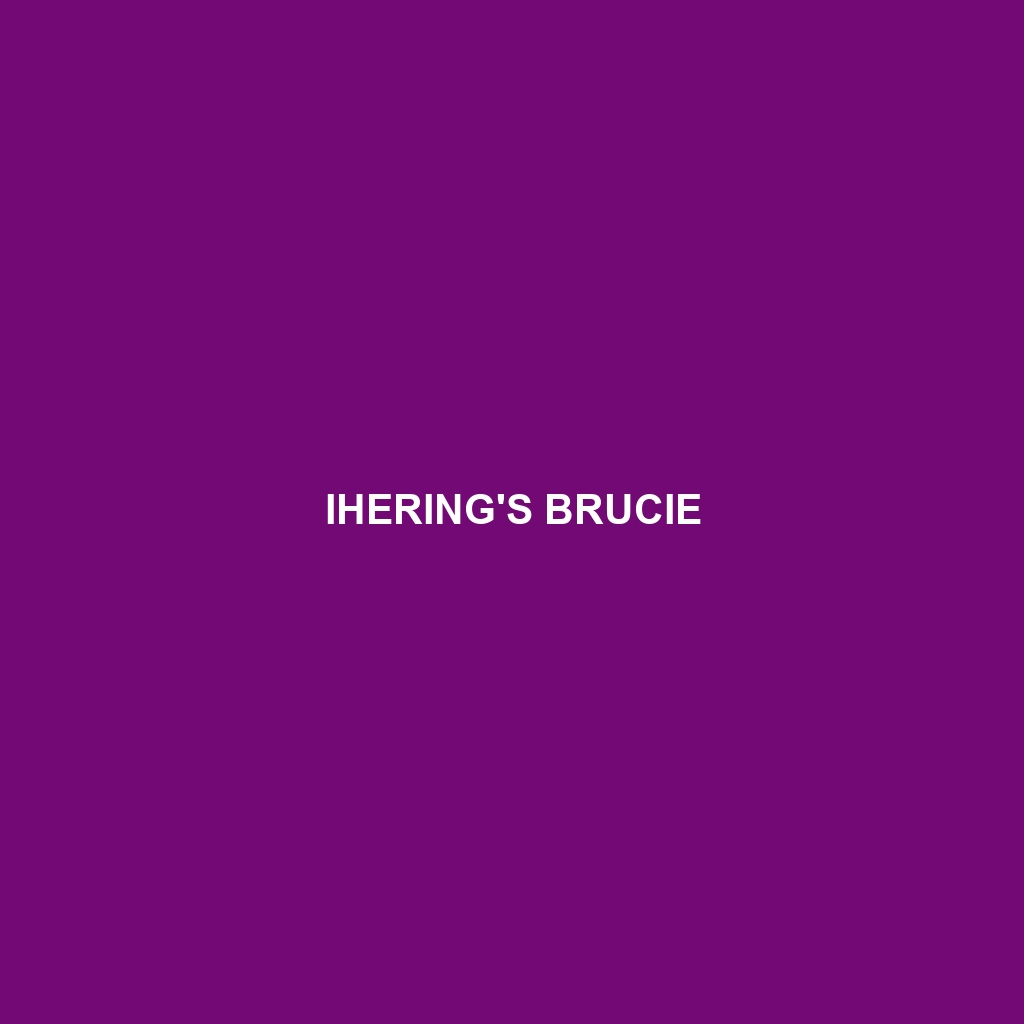 Ihering's Brucie