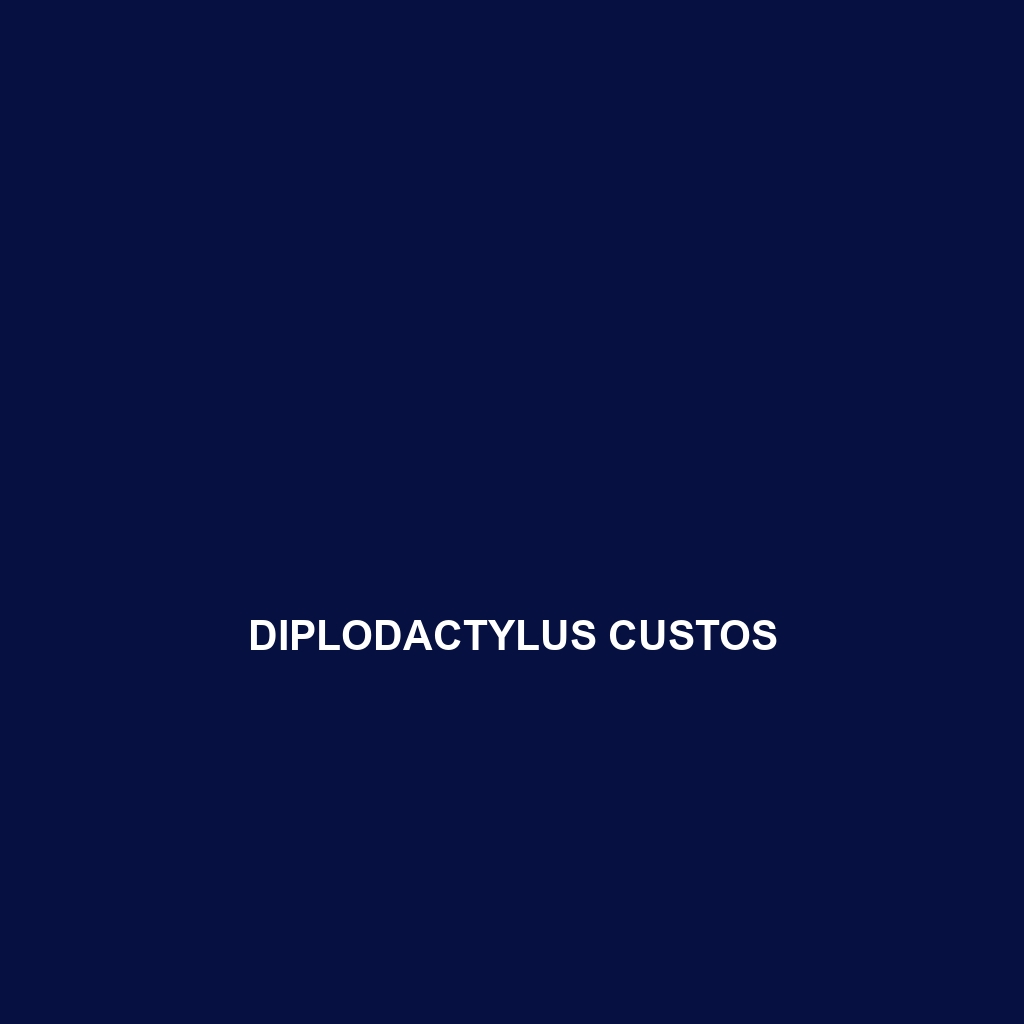 Diplodactylus custos