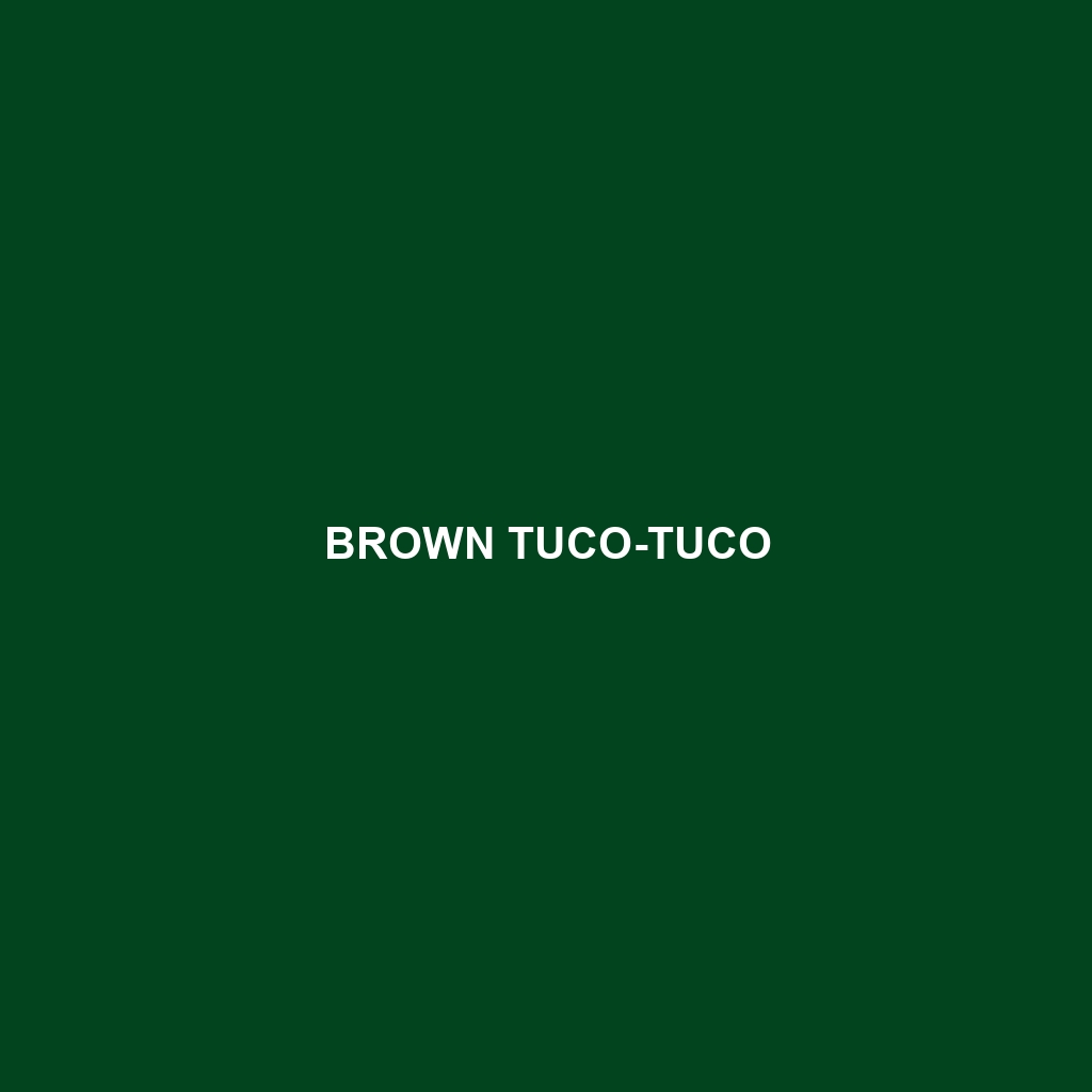 Brown Tuco-tuco