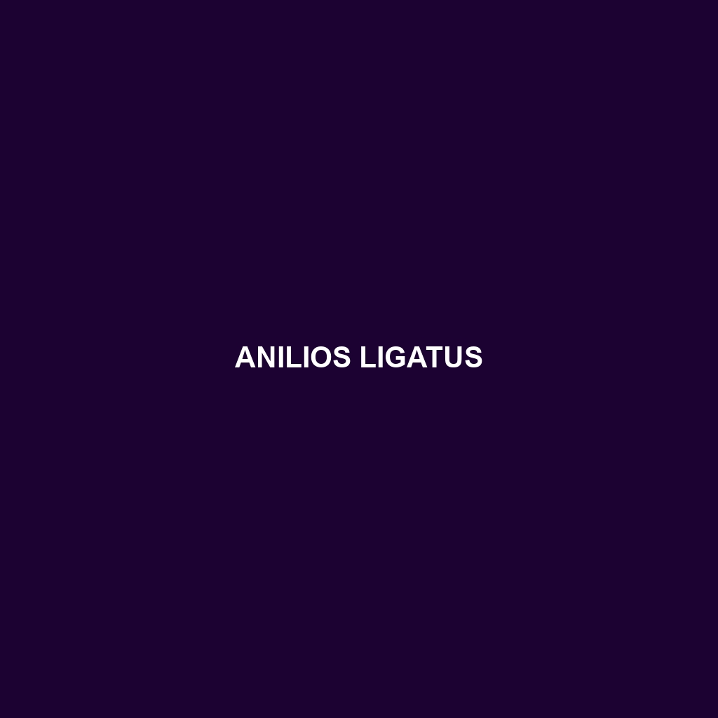 Anilios ligatus