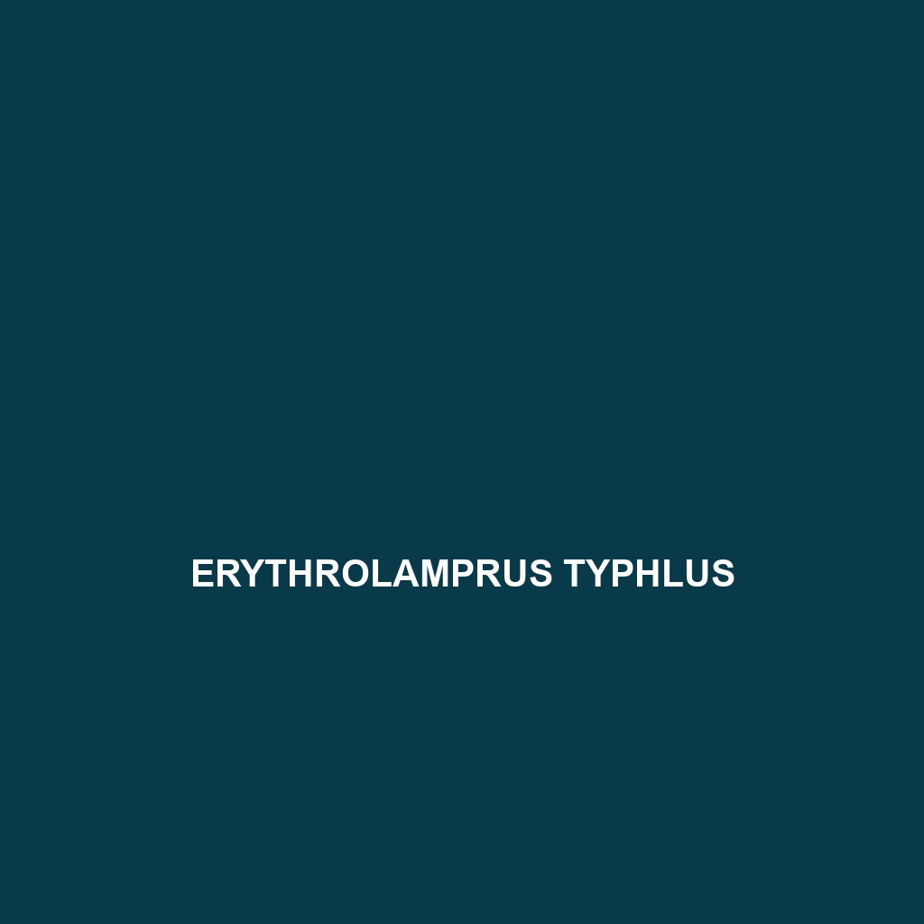 Erythrolamprus typhlus