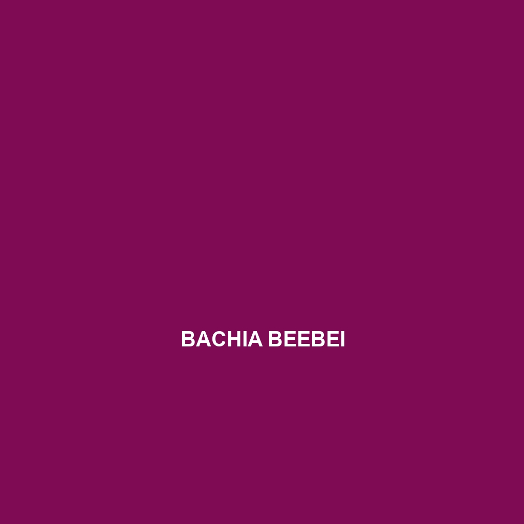 Bachia beebei