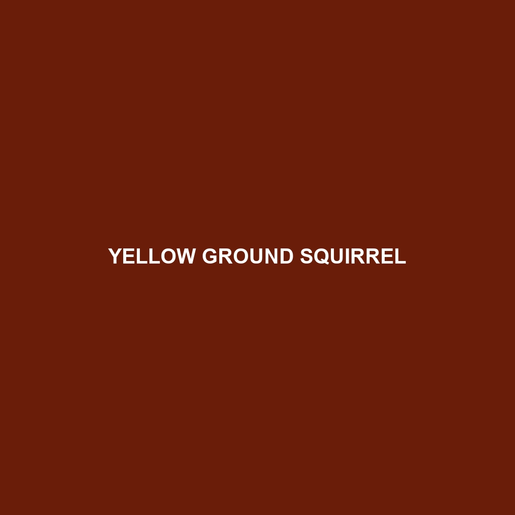 Yellow Ground Squirrel