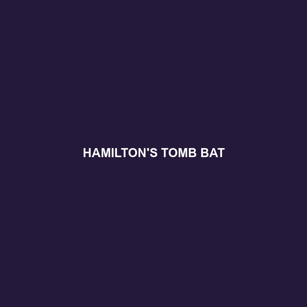 Hamilton's Tomb Bat