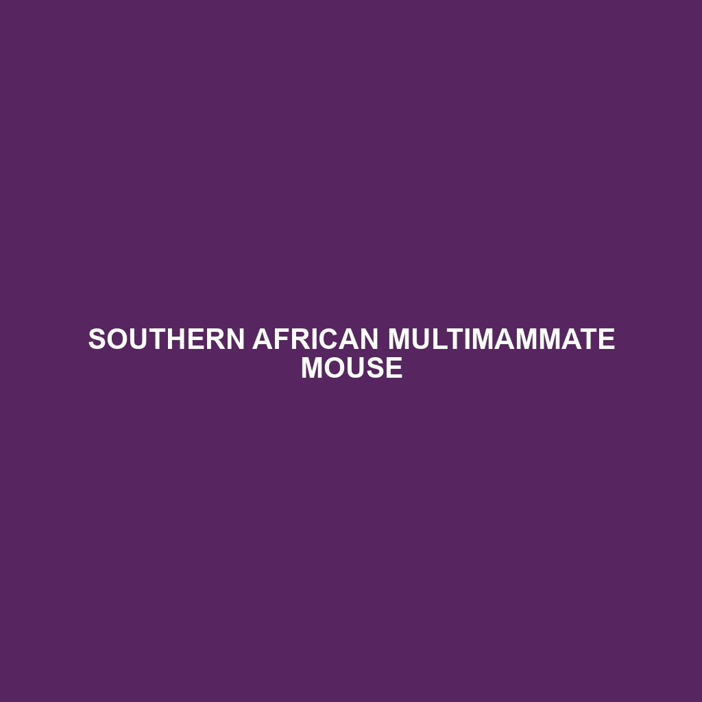 Southern African Multimammate Mouse