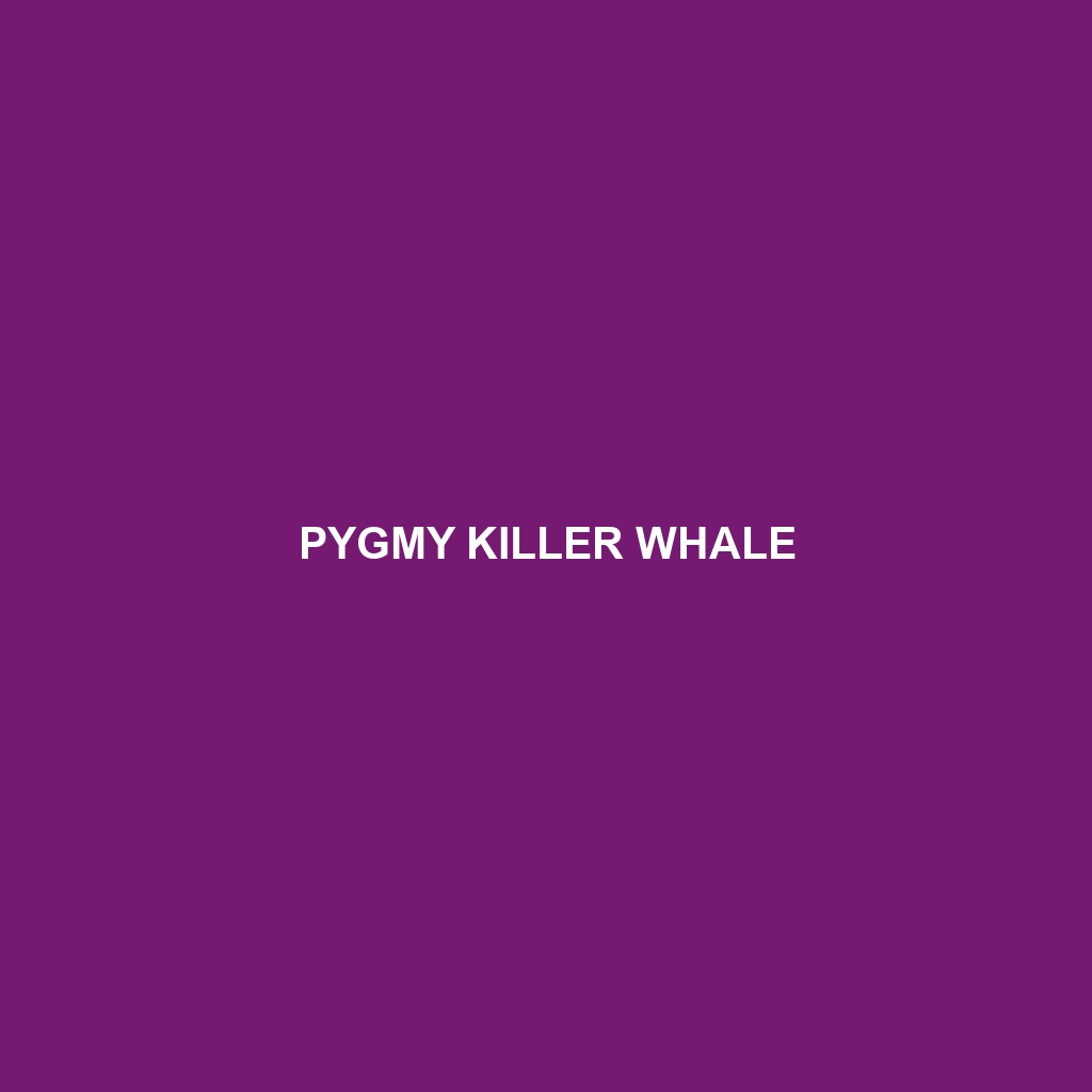 Pygmy Killer Whale