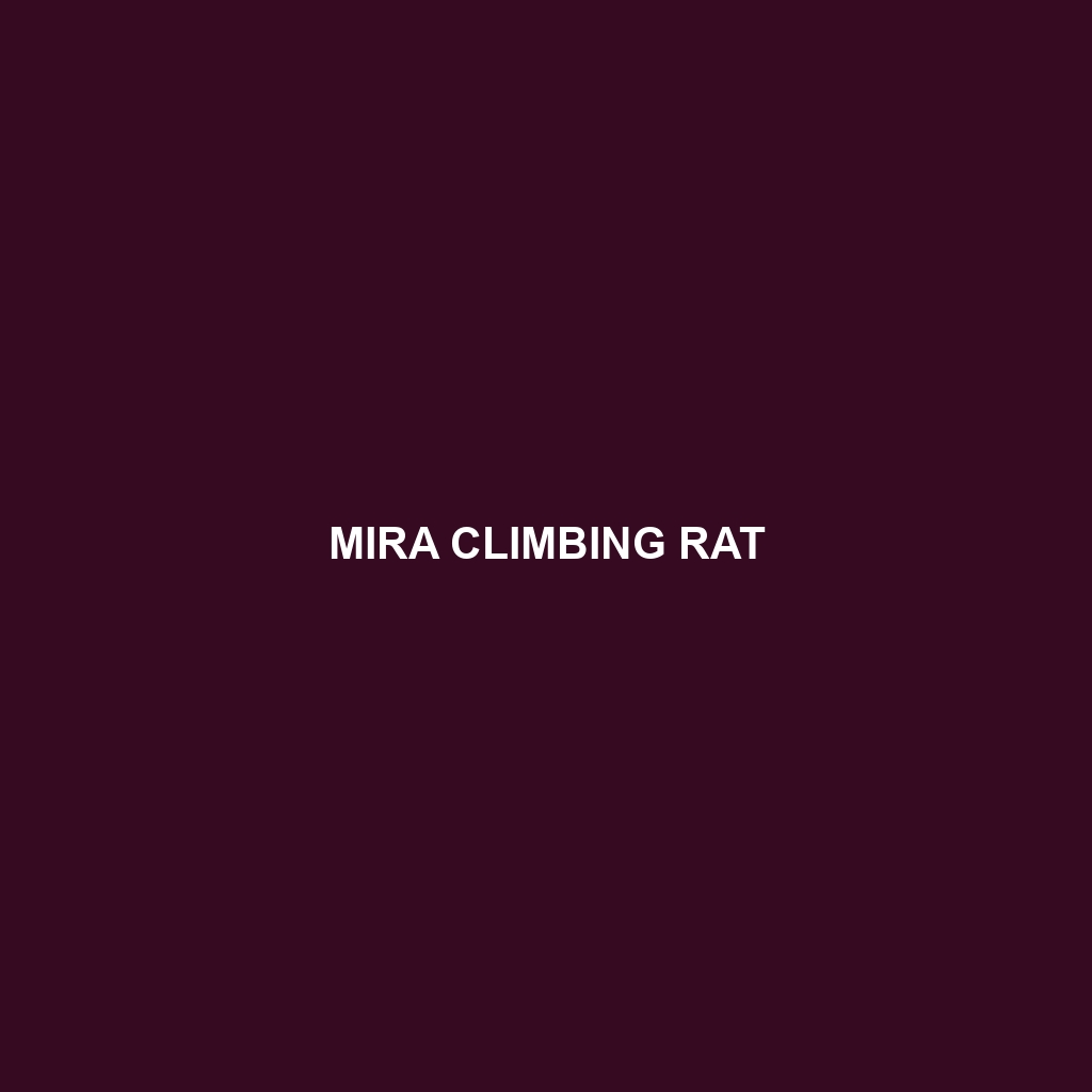 Peters's Climbing Rat