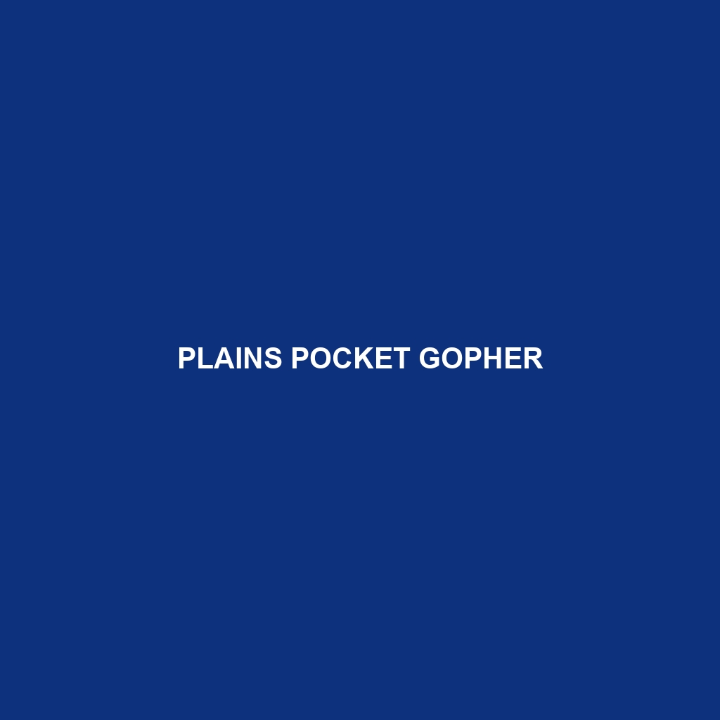 Plains Pocket Gopher