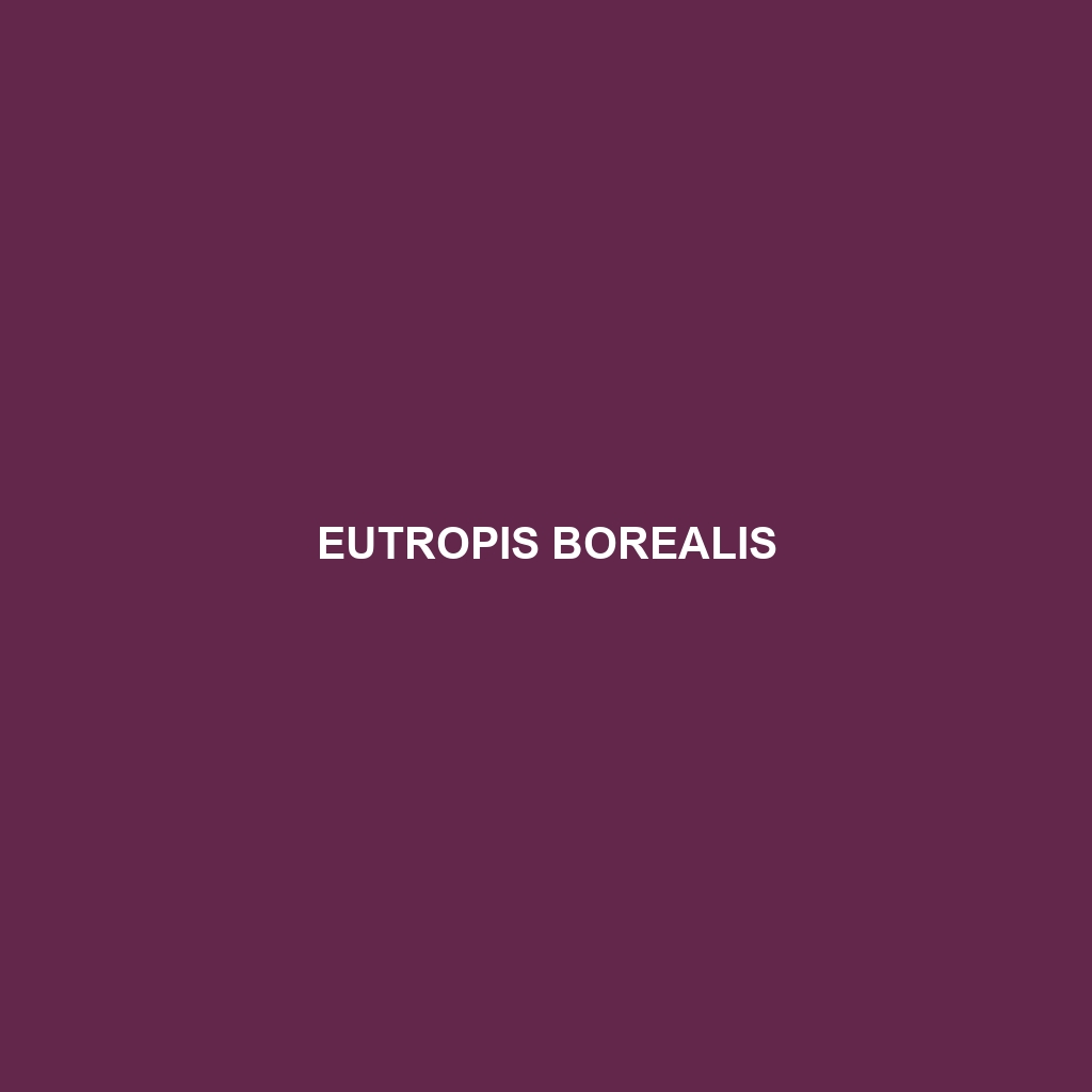 Eutropis borealis