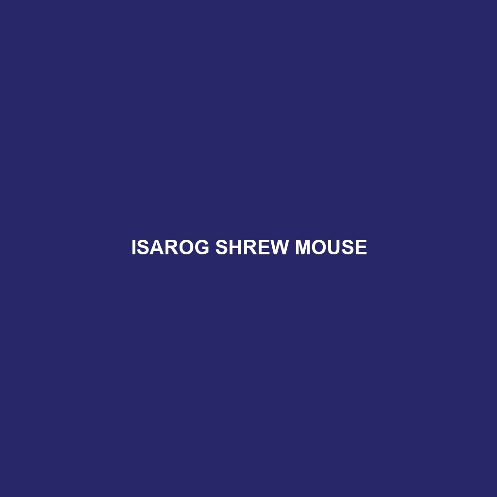 Isarog Shrew Mouse