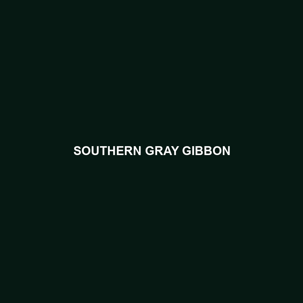 Southern Gray Gibbon