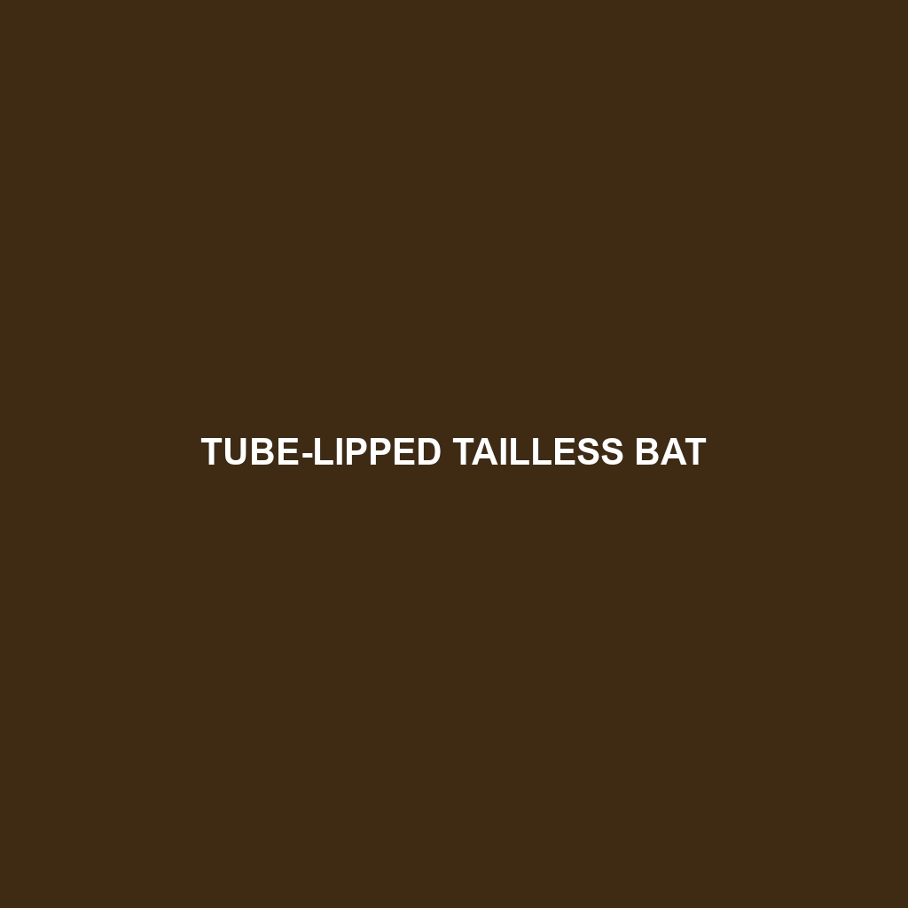 Tube-lipped Tailless Bat