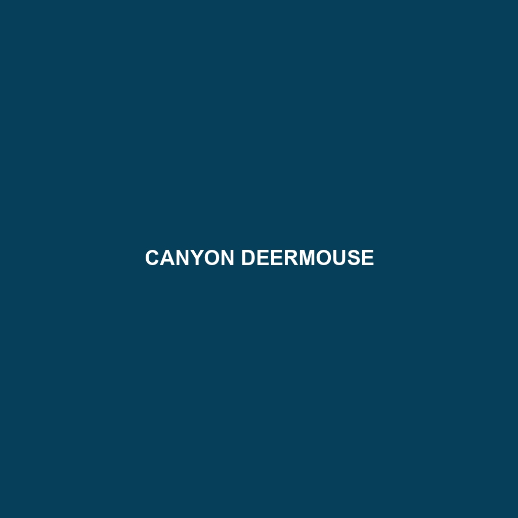 Canyon Deermouse