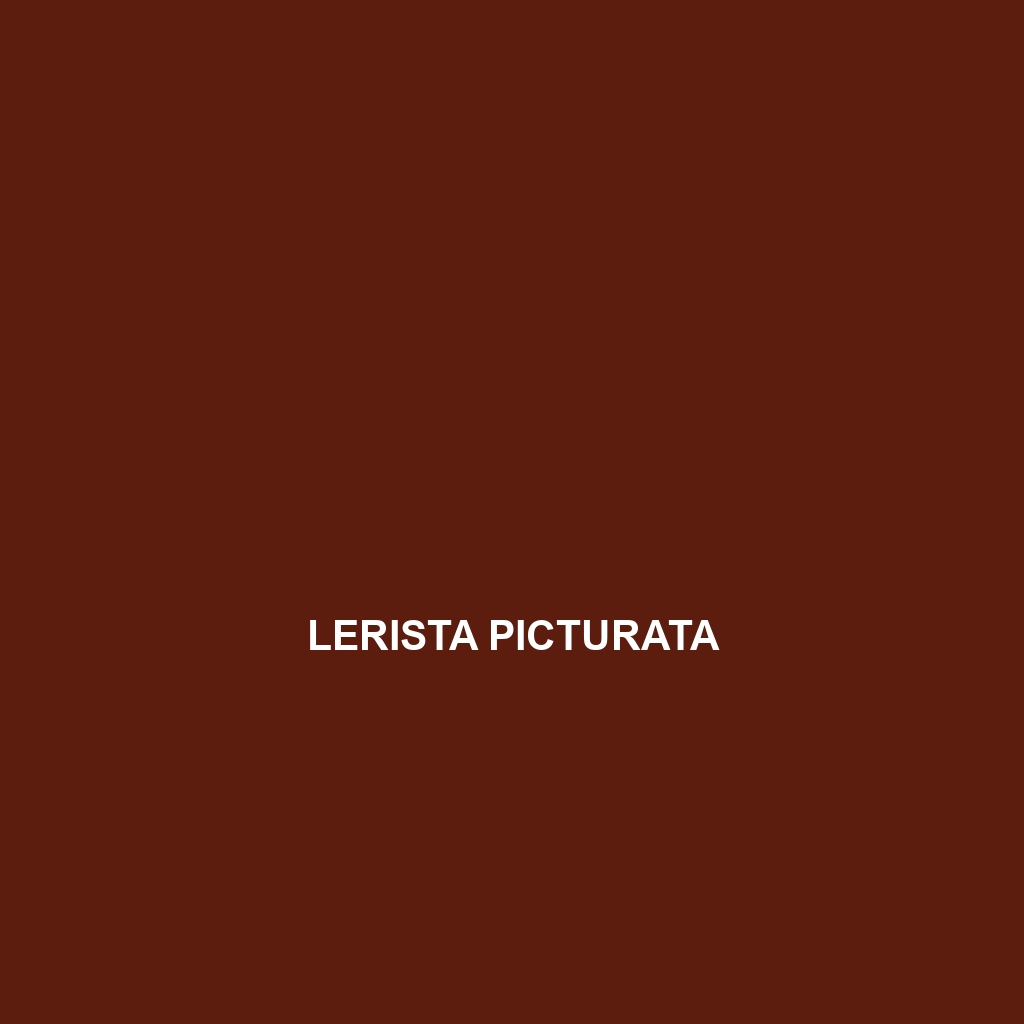 Lerista picturata