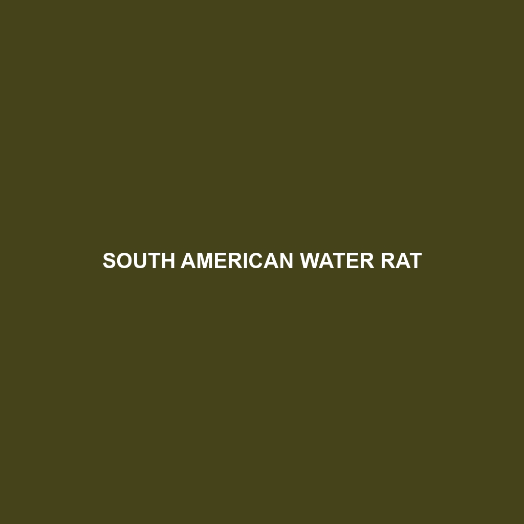 South American Water Rat