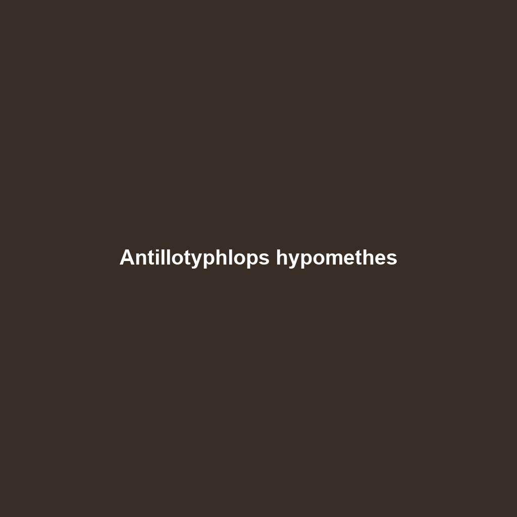 Antillotyphlops hypomethes