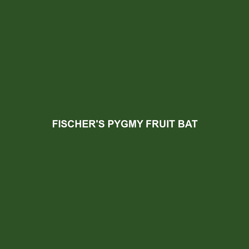 Fischer's Pygmy Fruit Bat