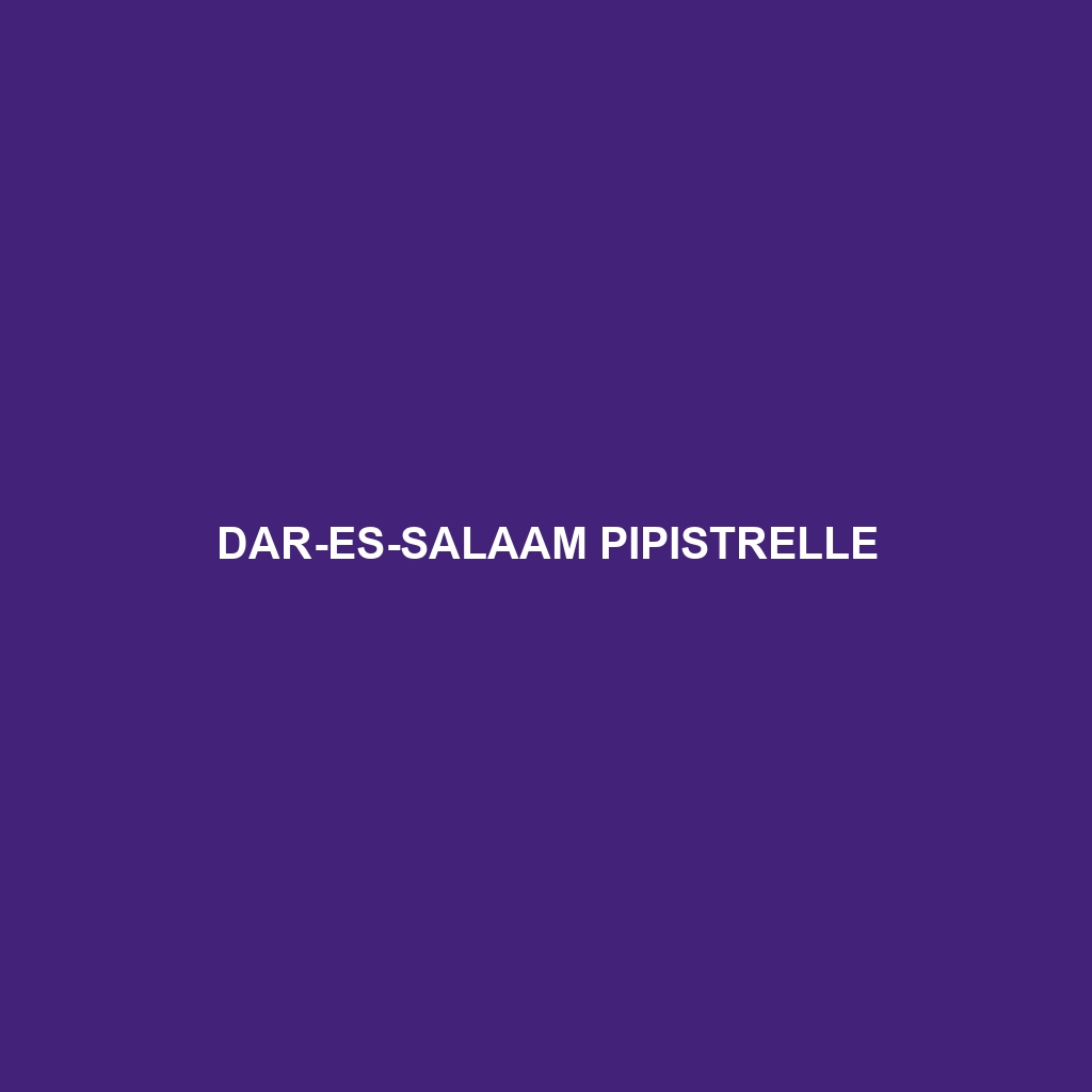 Dar-es-Salaam Pipistrelle