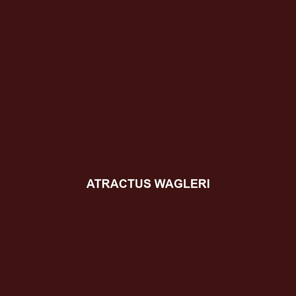 Atractus wagleri