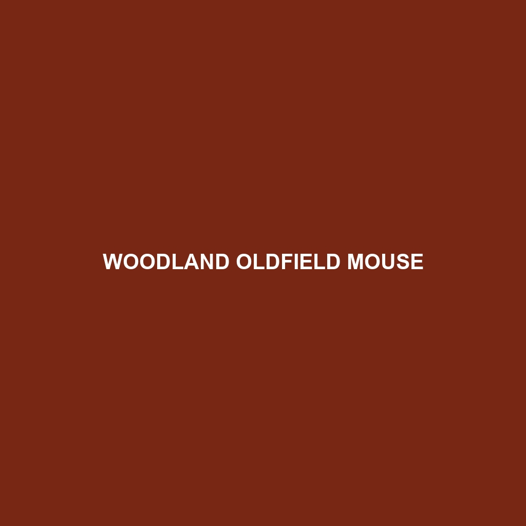 Woodland Oldfield Mouse