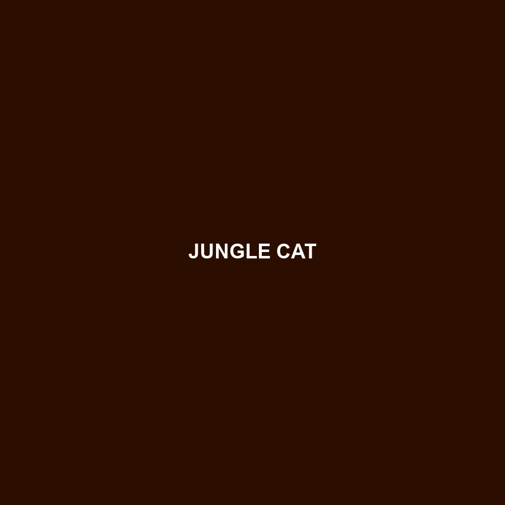 Jungle Cat