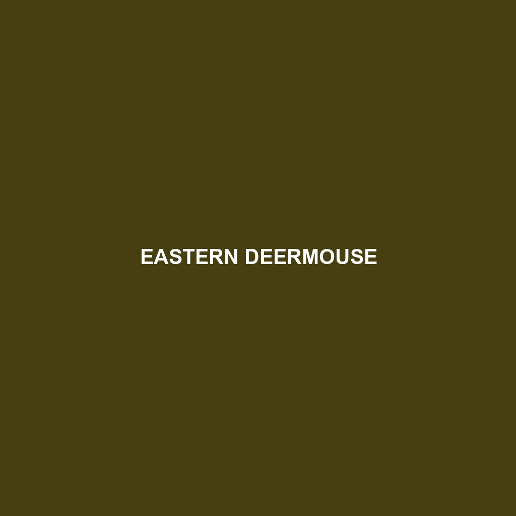 Eastern Deermouse