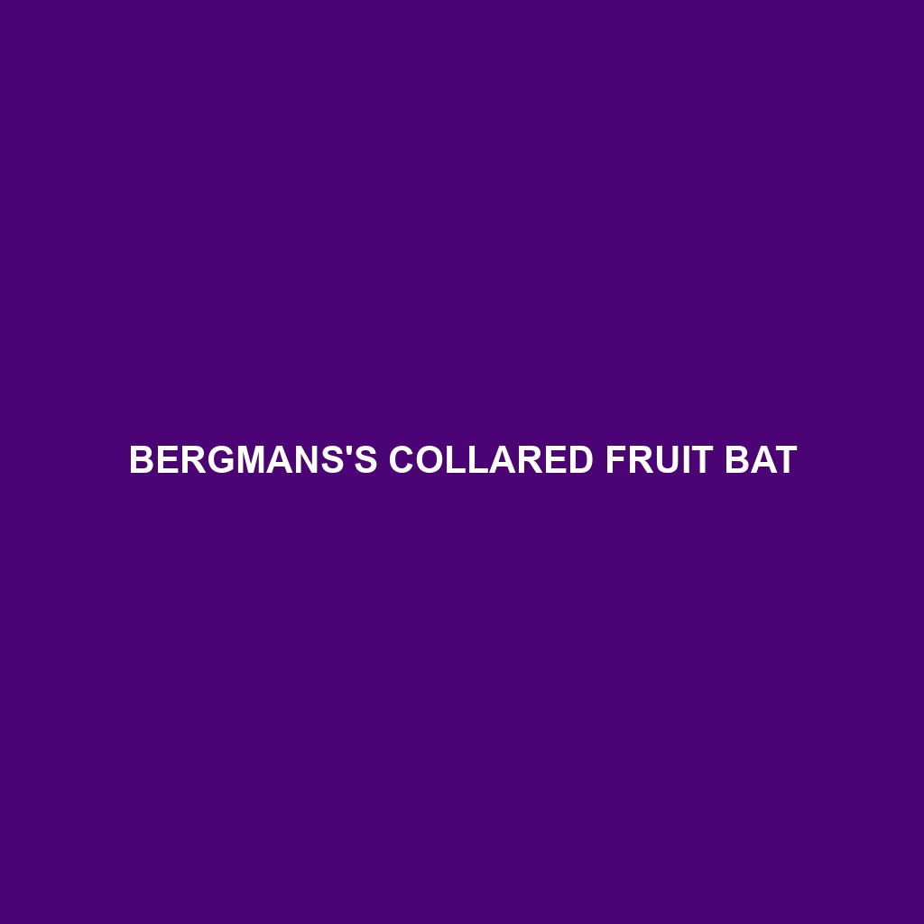 Bergmans's Collared Fruit Bat