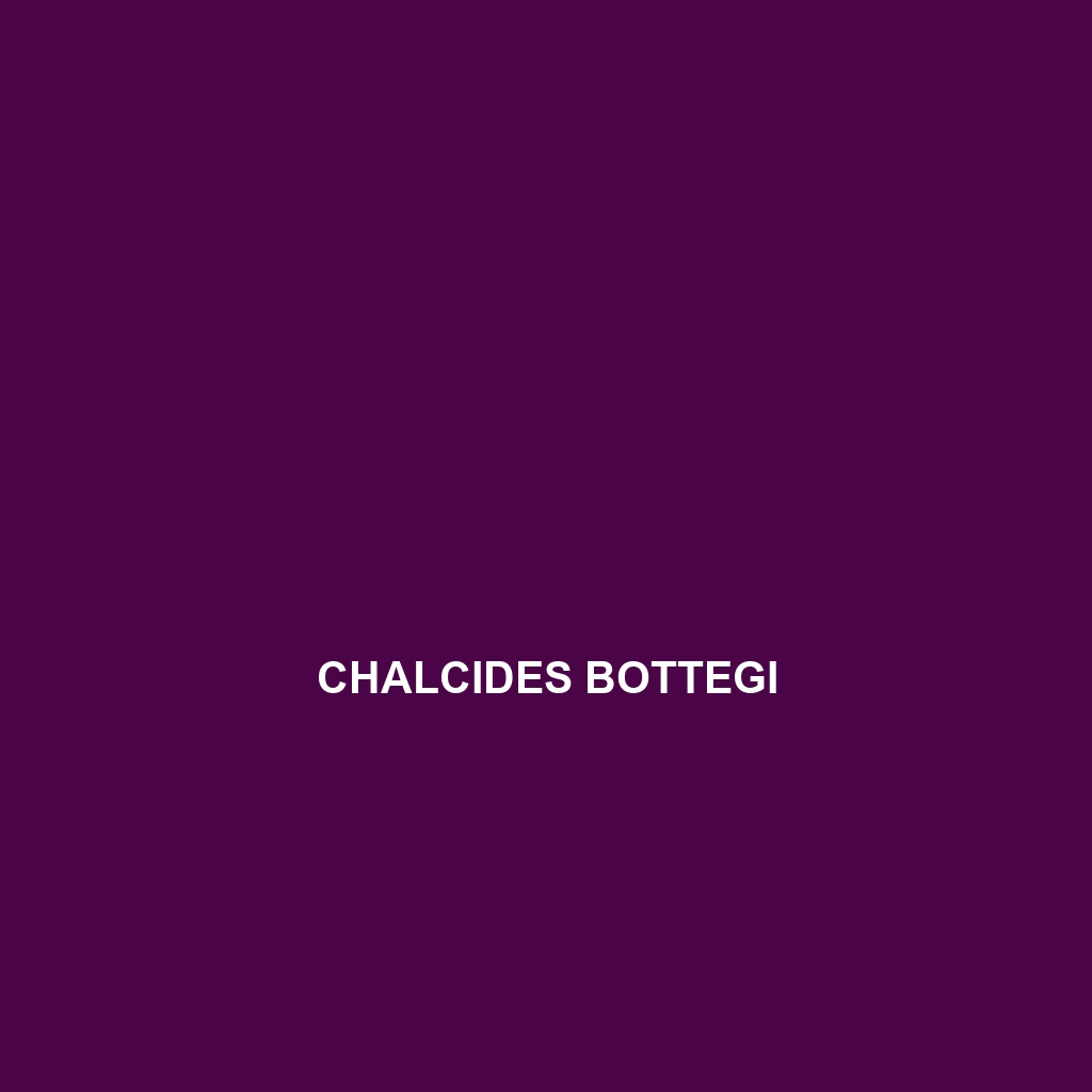 Chalcides bottegi