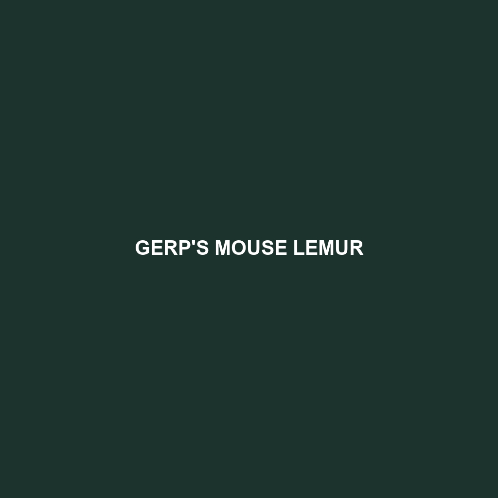 Gerp's Mouse Lemur