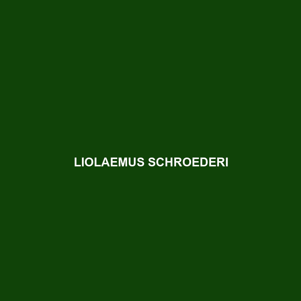 Liolaemus schroederi