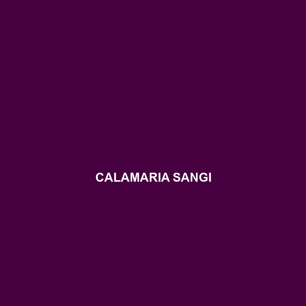 Calamaria sangi