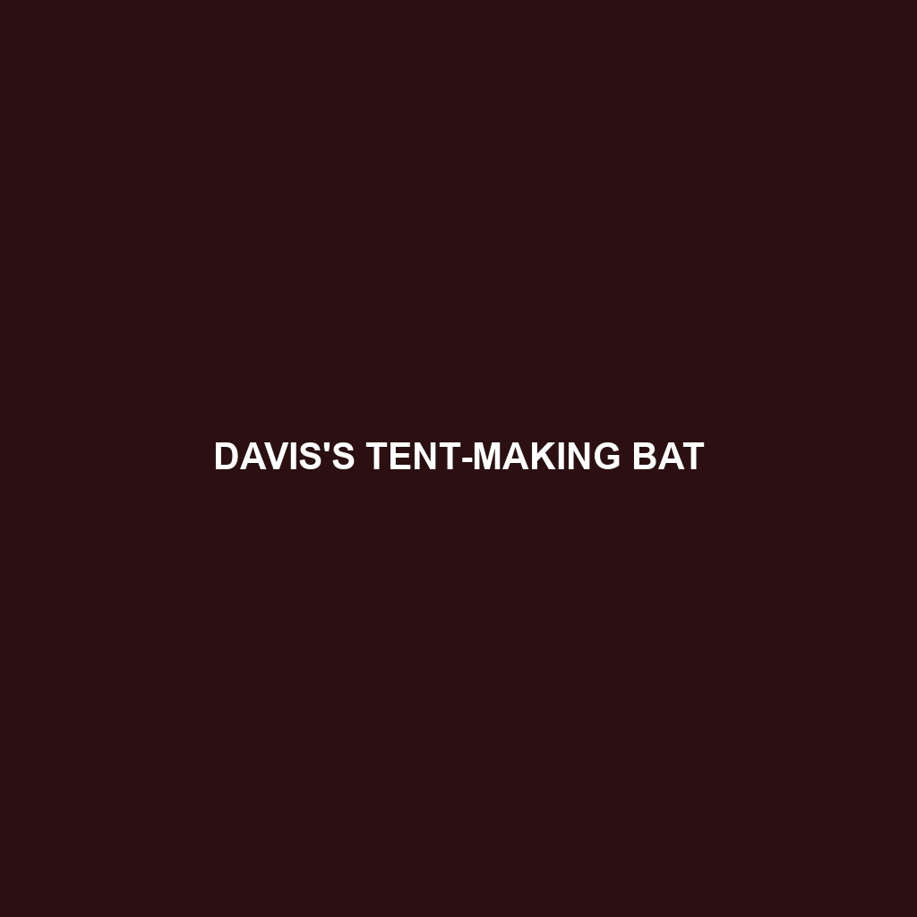 Davis's Tent-making Bat