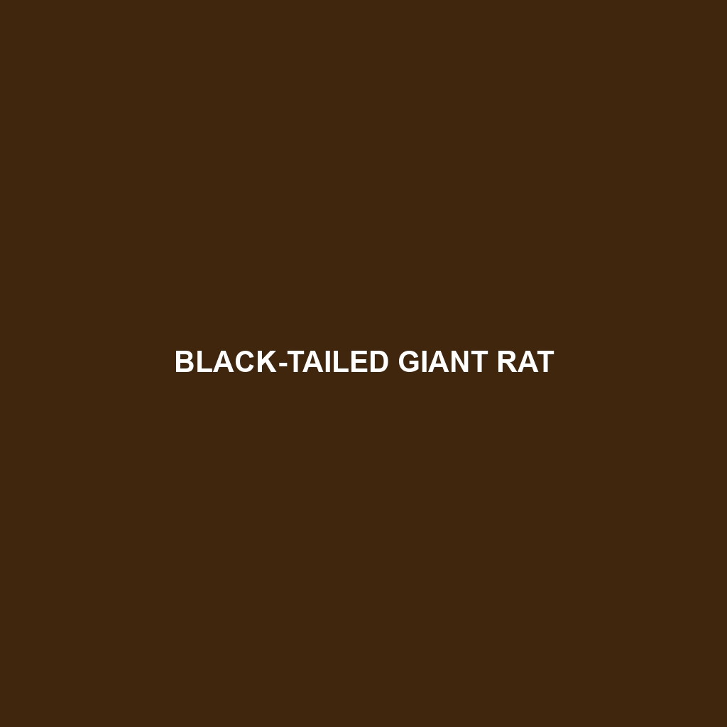 Black-tailed Giant Rat