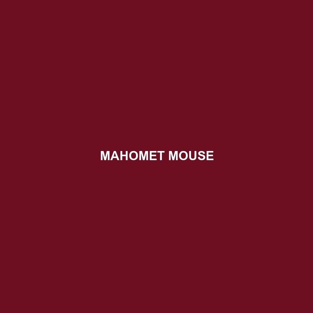 Mahomet Mouse