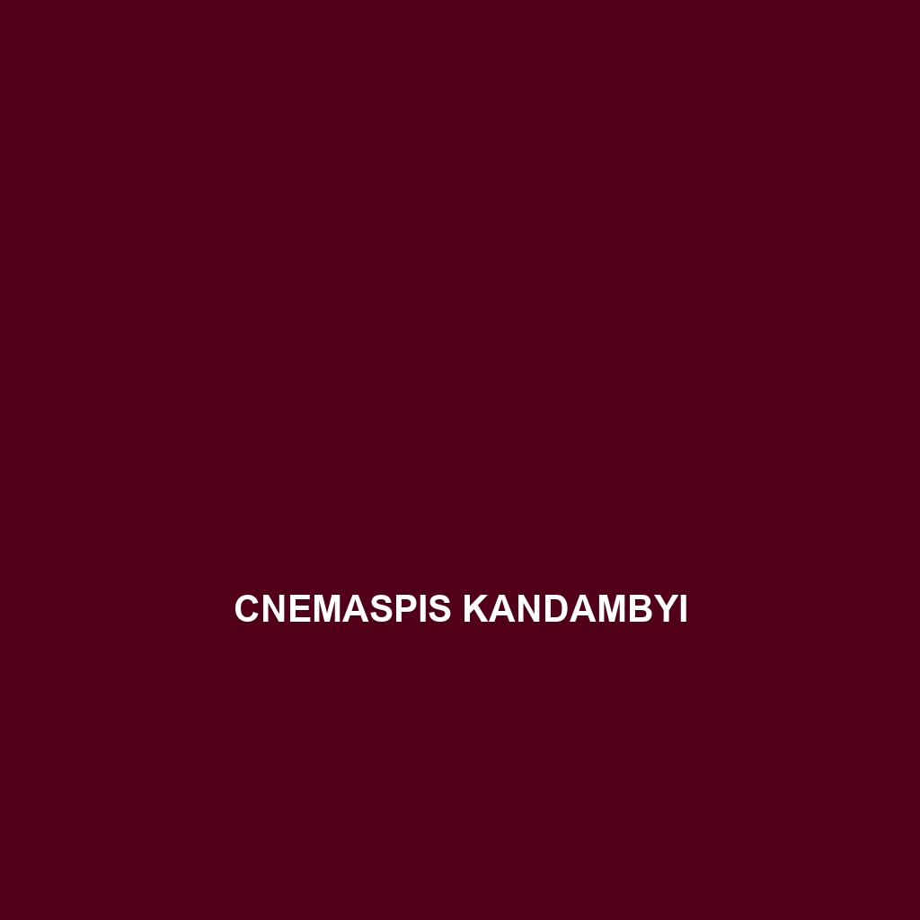 Cnemaspis kandambyi