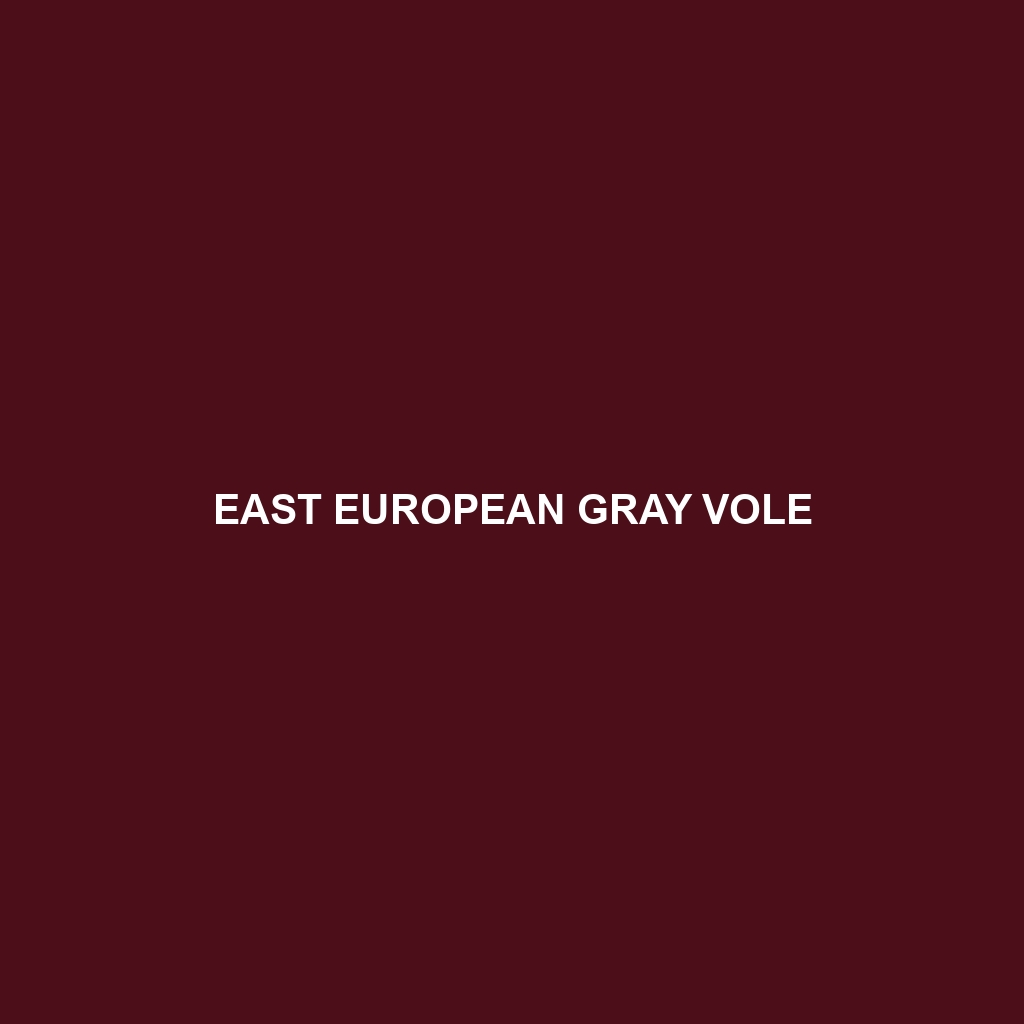 East European Gray Vole