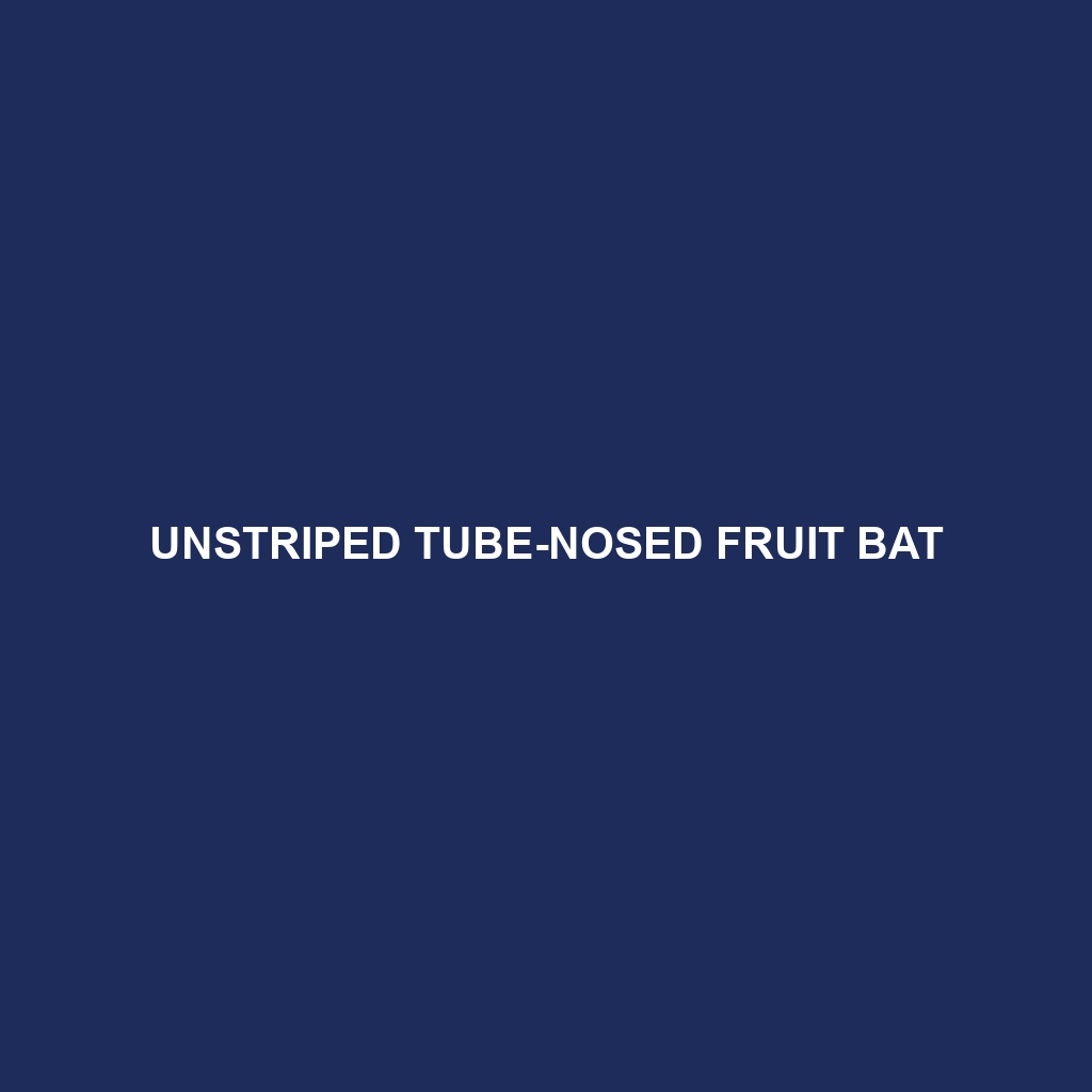 Unstriped Tube-nosed Fruit Bat