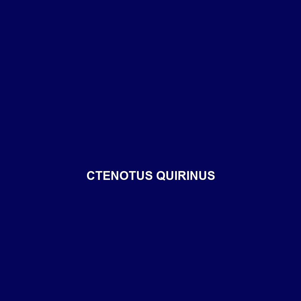 Ctenotus quinkan